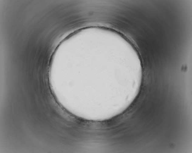X0000111880895200909031837