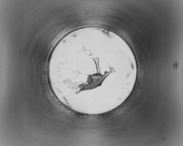 X0000111880899200909031837