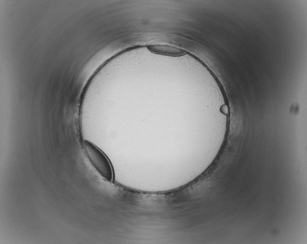 X0000111880901200909031837