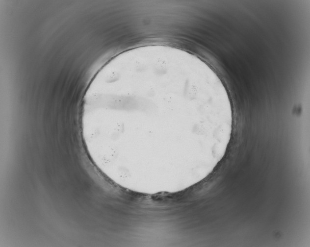 X0000111880907200909031837