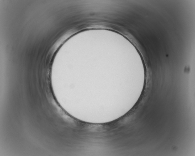 X0000111880909200909031837