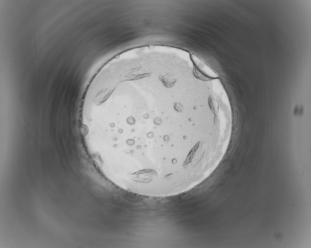 X0000111880912200909031837