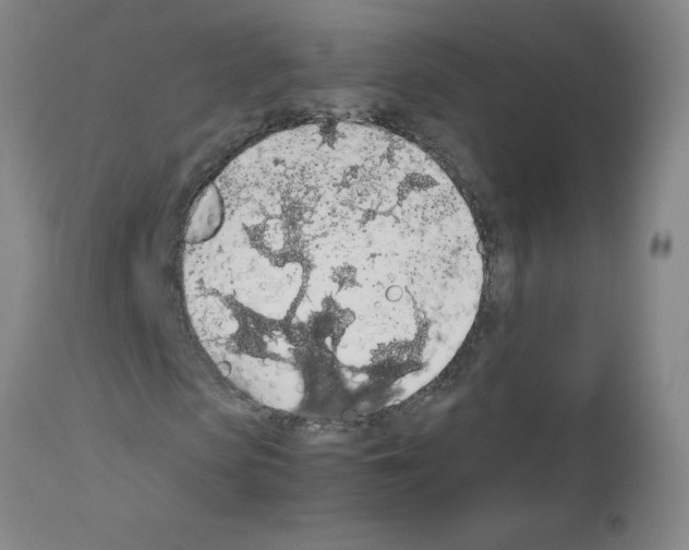 X0000111880913200909031836