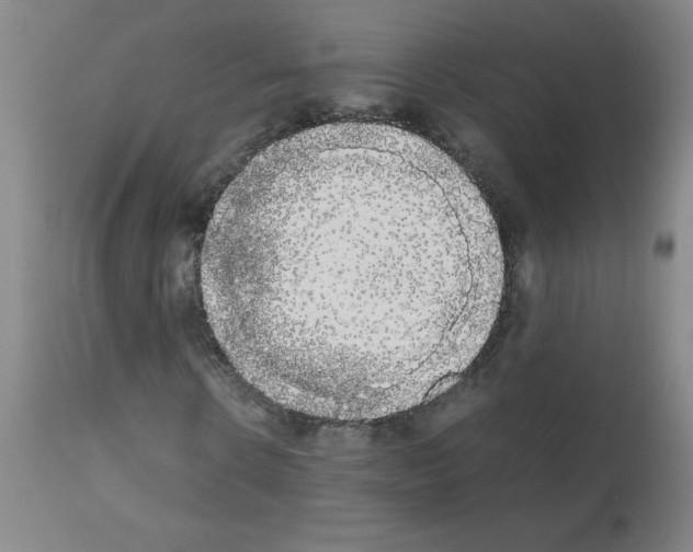 X0000111880914200909031836