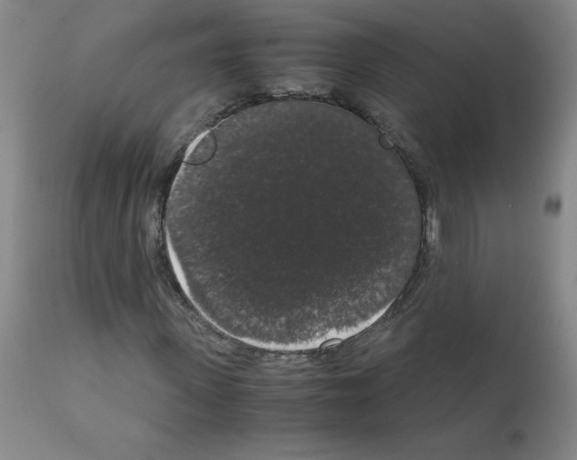 X0000111880915200909031836