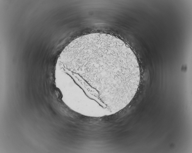 X0000111880916200909031836
