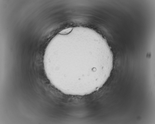 X0000111880917200909031836