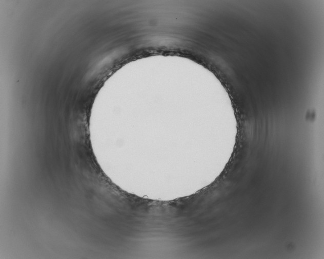 X0000111880918200909031836