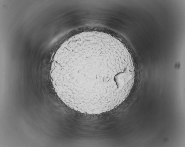 X0000111880919200909031836