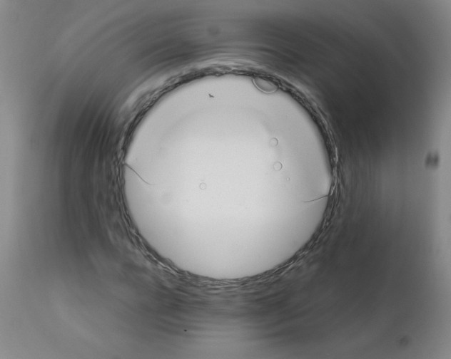 X0000111880920200909031837