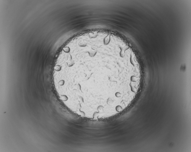 X0000111880921200909031837