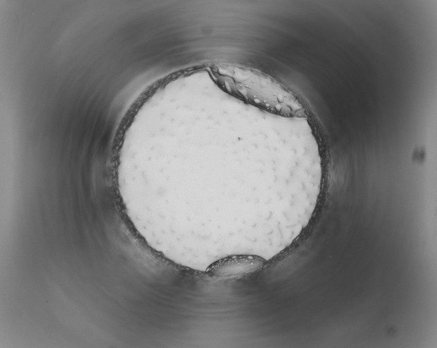 X0000111880924200909031837