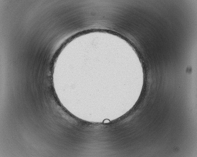 X0000111880926200909031837