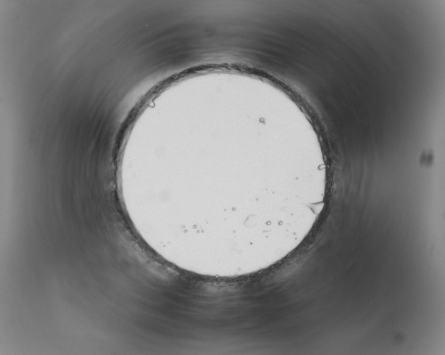 X0000111880927200909031837