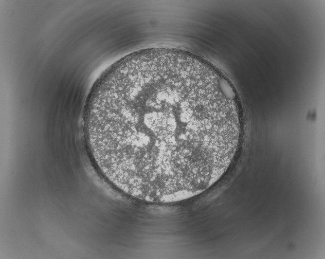 X0000111880928200909031837