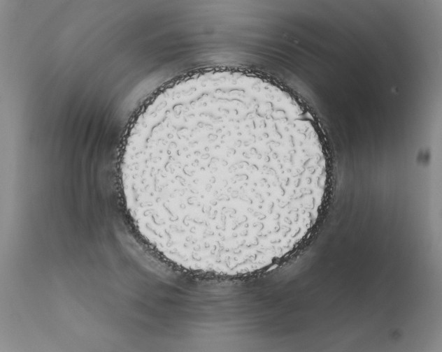 X0000111880930200909031837