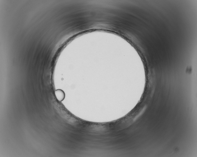 X0000111880931200909031837