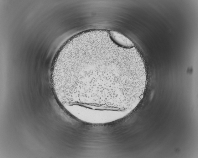 X0000111880932200909031837