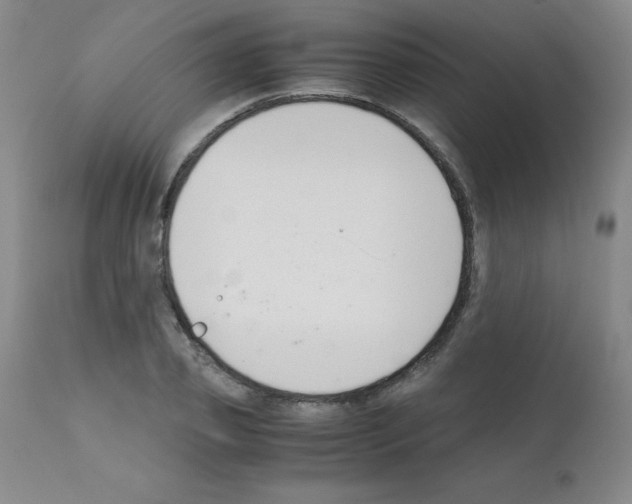 X0000111880933200909031837