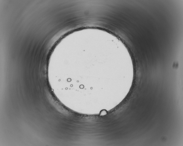 X0000111880934200909031837