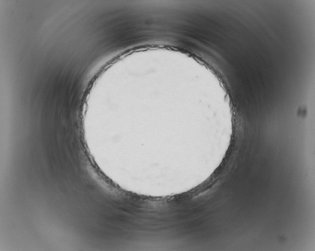 X0000111880935200909031837