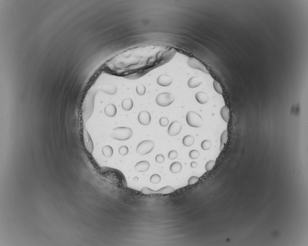 X0000111880936200909031837