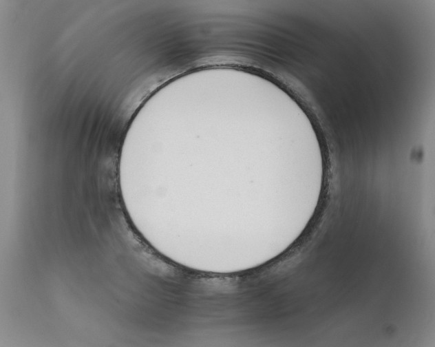 X0000111880937200909031837