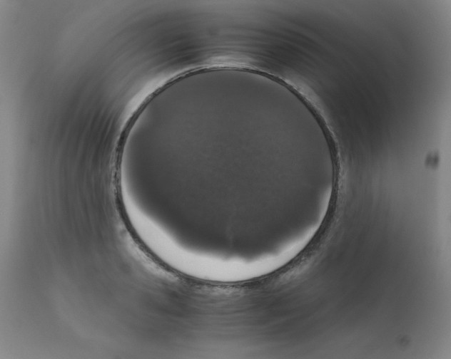 X0000111880941200909031837