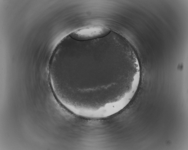 X0000111880944200909031837