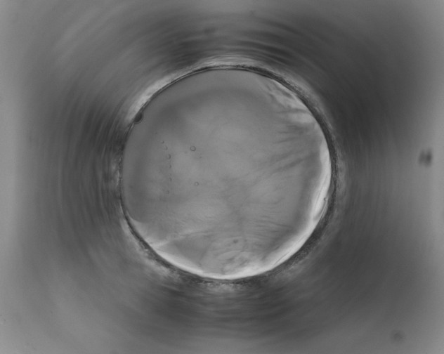 X0000111880945200909031837