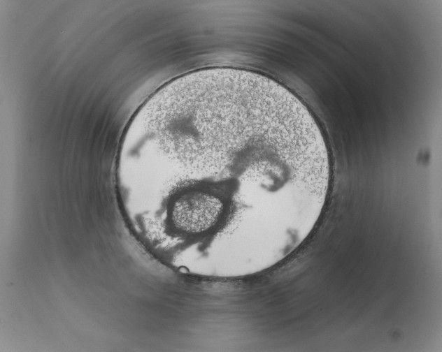 X0000111880946200909031837