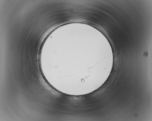 X0000111880947200909031837