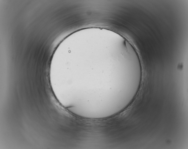 X0000111880952200909031837