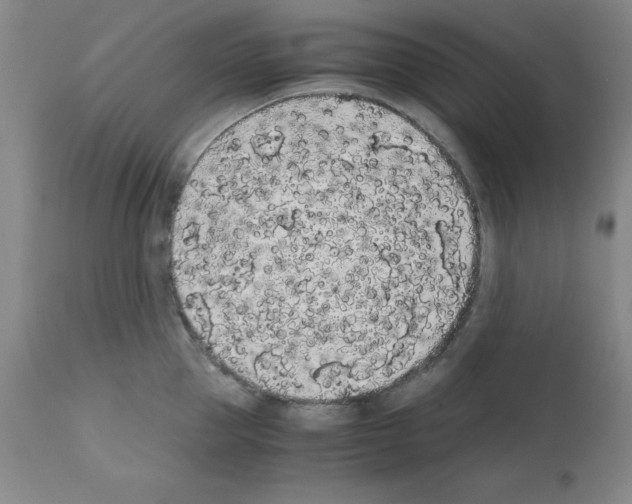 X0000111880953200909031837