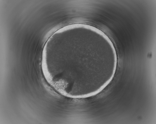 X0000111880954200909031837