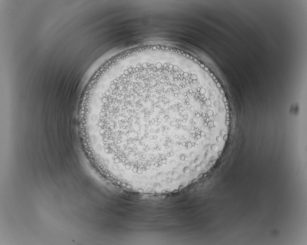 X0000111880955200909031837