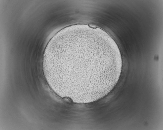X0000111880956200909031837