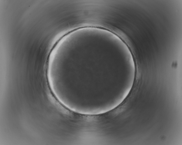 X0000111880958200909031837