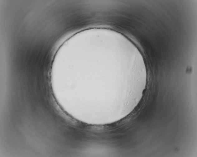 X0000111880959200909031837