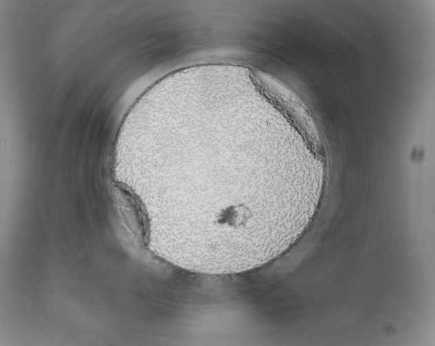 X0000111880960200909031837