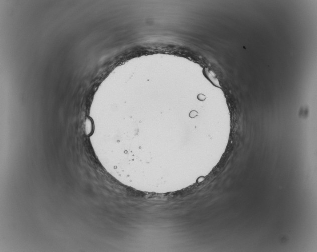 X0000111880965200909031836