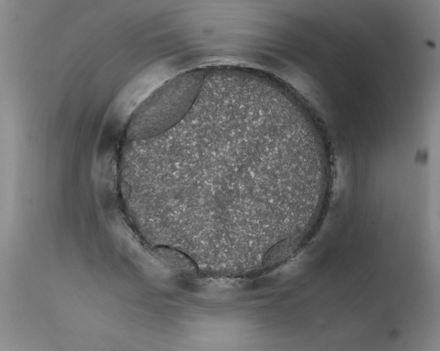 X0000111880969200909031836