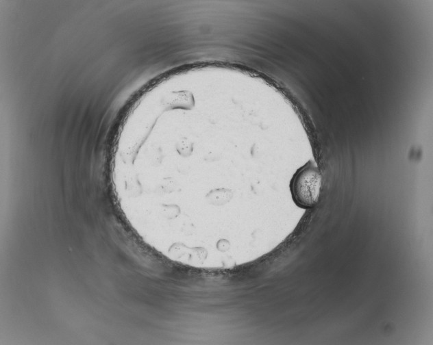 X0000111880975200909031836