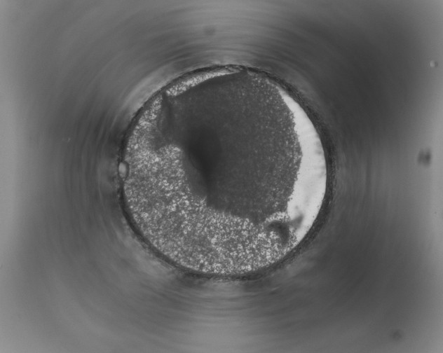 X0000111880977200909031836