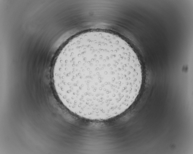 X0000111880978200909031836