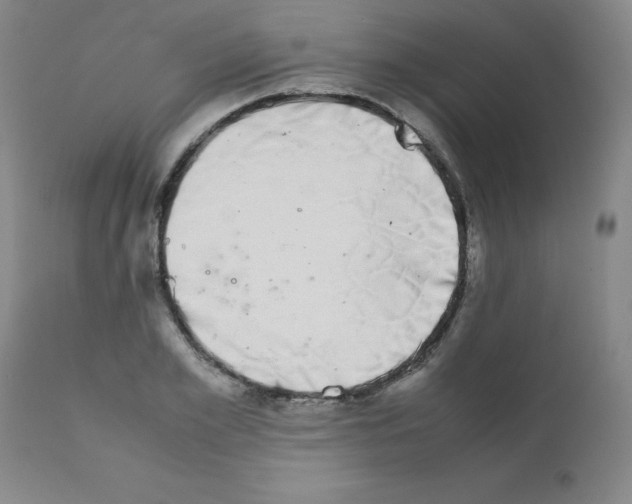 X0000111880981200909031836