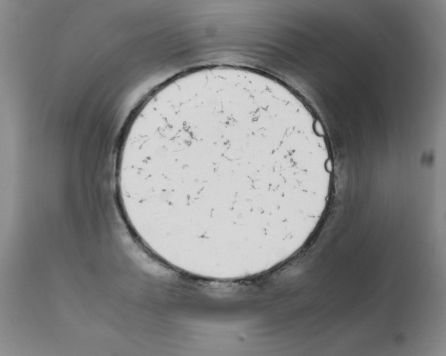X0000111880987200909031836