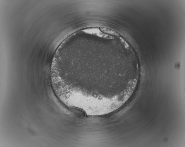 X0000111880993200909031836