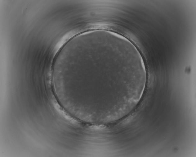 X0000111880994200909031836