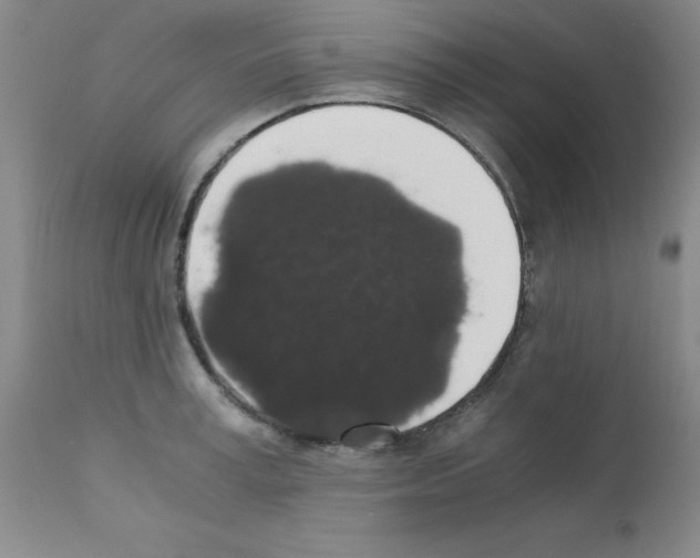 X0000111880995200909031836